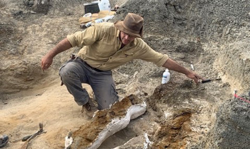 Robert Depalma field-jacketing fossil fish from the Tanis ‘event deposit